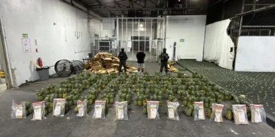 Incautan 121 láminas de presunta cocaína escondidas en piñas y arresta a un hombre