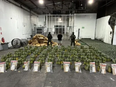 Incautan 121 láminas de presunta cocaína escondidas en piñas y arresta a un hombre