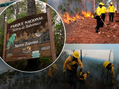 Incendio forestal en Sierra de Bahoruco podría quedar controlado en tres días, según Medio Ambiente