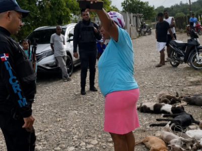 FEDDA exige investigación y sanciones por presunto envenenamiento masivo de animales en San Francisco de Macorís
