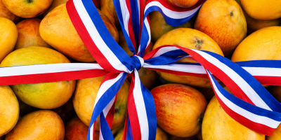 CONFENAGRO advierte que restricción de EE. UU. al mango dominicano podría generar pérdidas superiores a US$20 millones