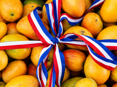 CONFENAGRO advierte que restricción de EE. UU. al mango dominicano podría generar pérdidas superiores a US$20 millones