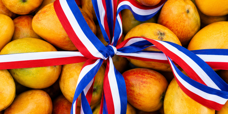 CONFENAGRO advierte que restricción de EE. UU. al mango dominicano podría generar pérdidas superiores a US$20 millones