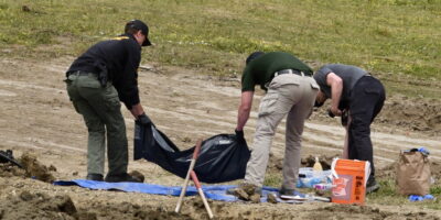 Autoridades investigan la muerte de 117 perros en California como posible caso de crueldad animal