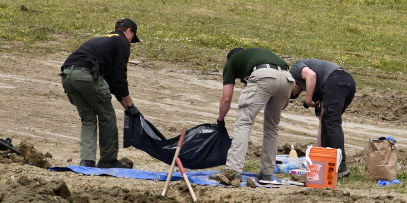 Autoridades investigan la muerte de 117 perros en California como posible caso de crueldad animal