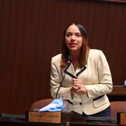 Diputada Tayluma Calderón respalda a médicos y odontólogos en debate sobre el Código Penal