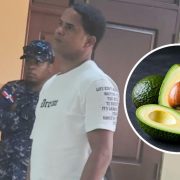 Condenan a seis meses de prisión a hombre por robar 32 aguacates en San José de Ocoa