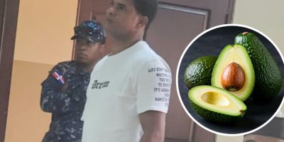 Condenan a seis meses de prisión a hombre por robar 32 aguacates en San José de Ocoa