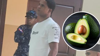 Condenan a seis meses de prisión a hombre por robar 32 aguacates en San José de Ocoa