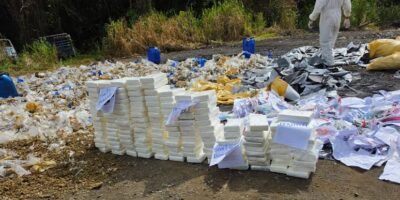 El Inacif destruye más de una tonelada de drogas incautadas en operativos