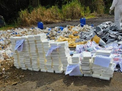 El Inacif destruye más de una tonelada de drogas incautadas en operativos