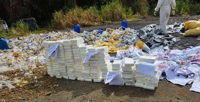 El Inacif destruye más de una tonelada de drogas incautadas en operativos